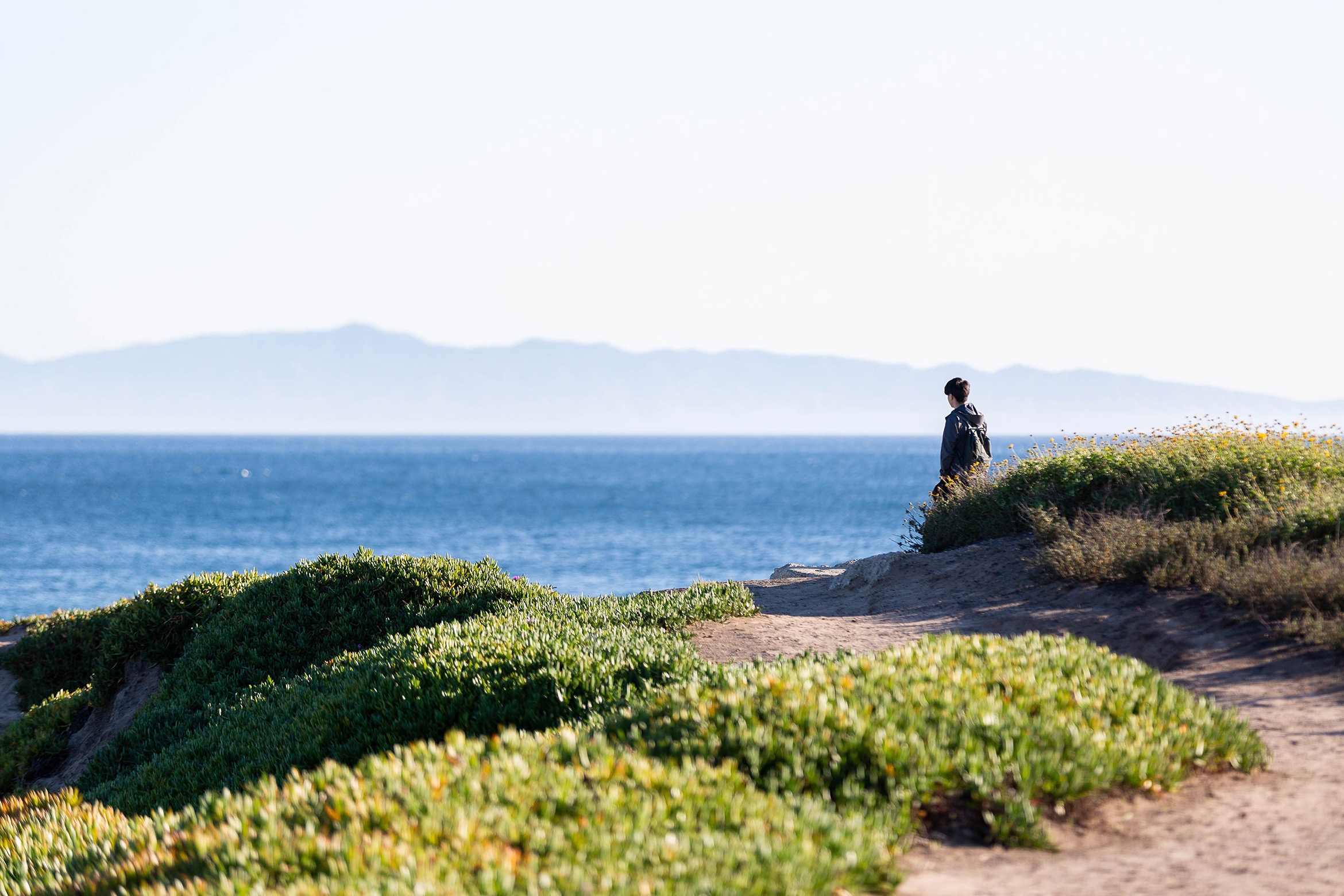 A lone person stands on a coastal bluff, gazing at the calm blue ocean with distant mountains under a bright, clear sky.