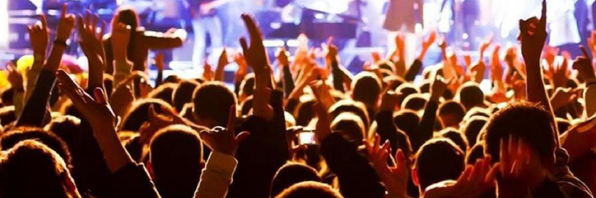 people in a concert