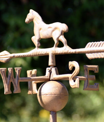 horse